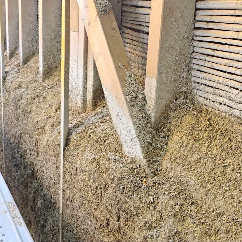 mur en béton de chanvre Végécalc'It de Lisbonis, en application projection mécanique